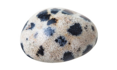 Jaspe dalmata