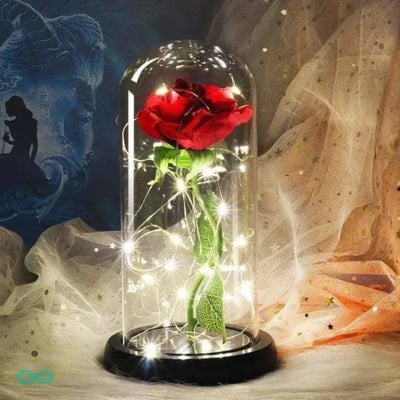 Eterna rosa bajo campana