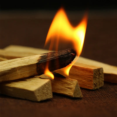 Lote de diez varillas de incienso de madera natural en fuego con fondo marrón
