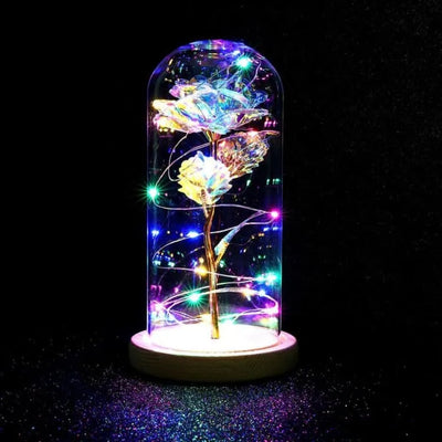 La Rosa Brillante bajo la campana