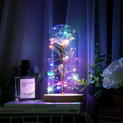 La Rosa Brillante bajo la campana