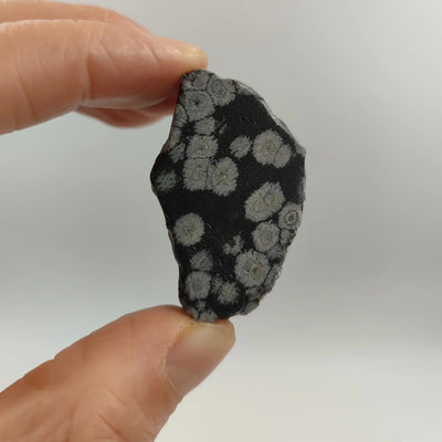 Piedra Bruta de Obsidiana Nevada para Sanación Energética