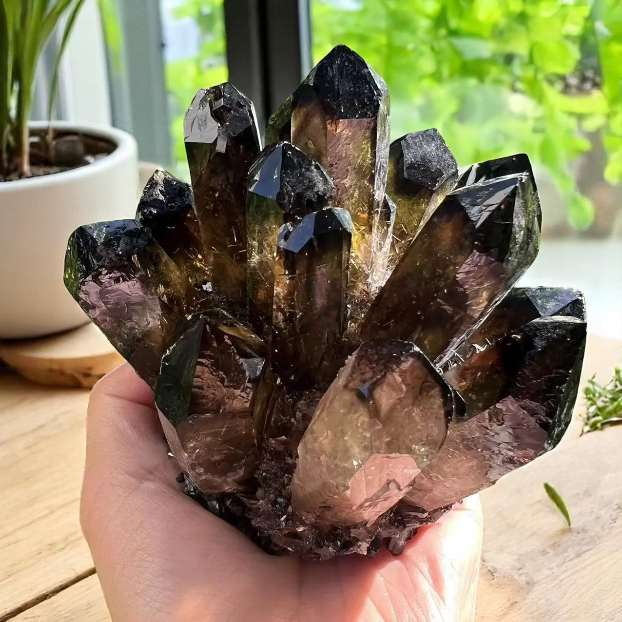 Drusa de Cuarzo Negro Ahumado - 300-1000g